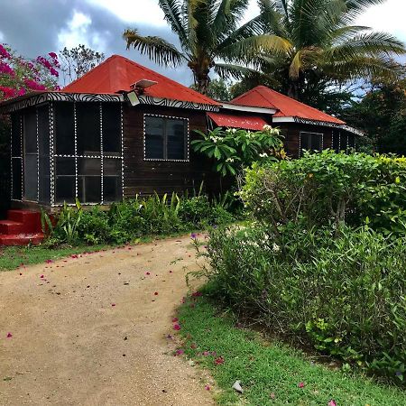 Moringa Ingadi Villa Treasure Beach Eksteriør bilde