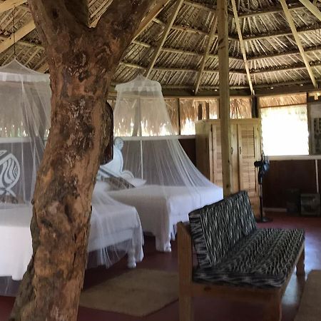 Moringa Ingadi Villa Treasure Beach Eksteriør bilde
