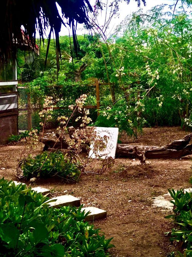 Moringa Ingadi Villa Treasure Beach Eksteriør bilde