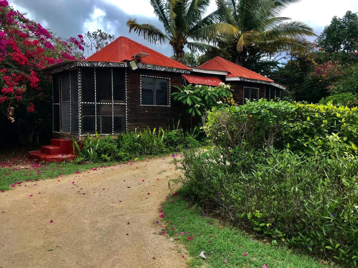 Moringa Ingadi Villa Treasure Beach Eksteriør bilde