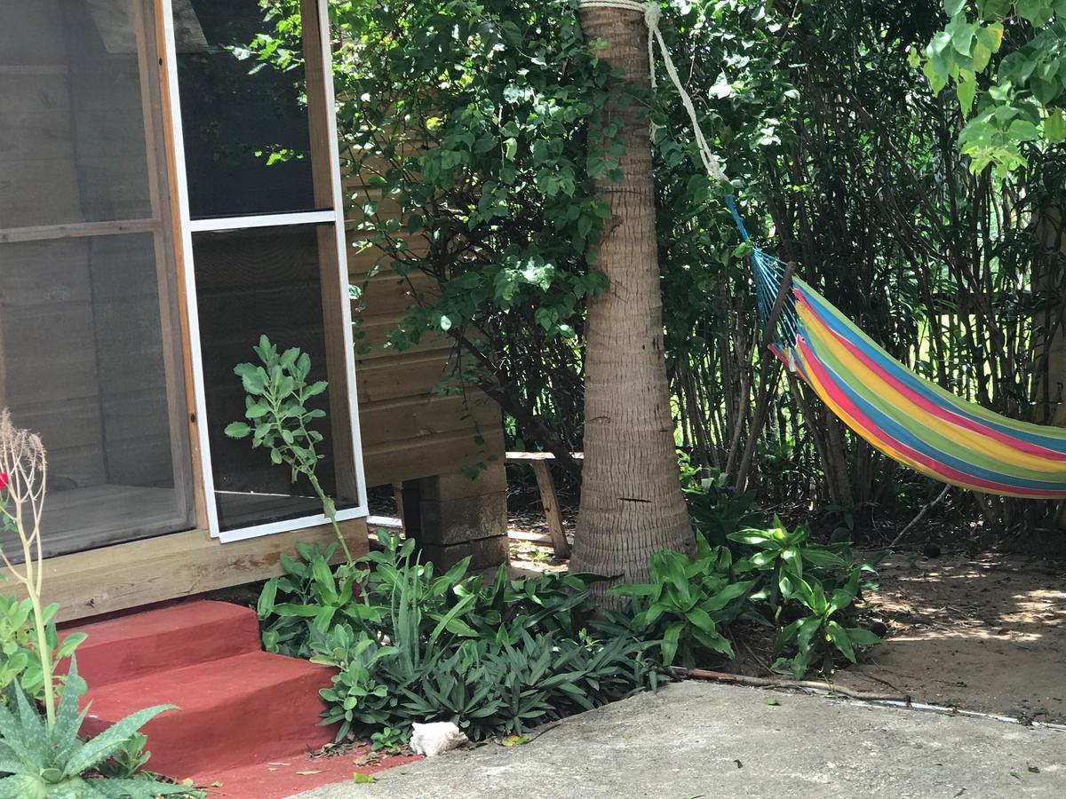 Moringa Ingadi Villa Treasure Beach Eksteriør bilde